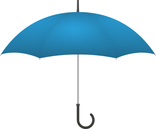 ikona parasola
